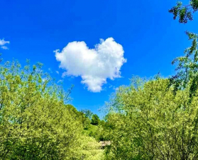 Սեր Դիլիջանի երկնքում․ Սուրենյանը լուսանկար է հրապարակել