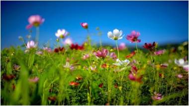 Օդի ջերմաստիճանն աստիճանաբար կբարձրանա