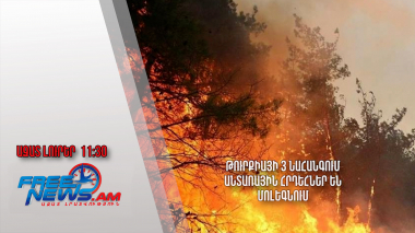 Թուրքիայի 3 նահանգում անտառային հրդեհներ են մոլեգնում․ Ազատ լուրեր․ 1.07․24/11․30/
