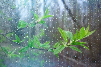 Առանձին շրջաններում սպասվում է կարճատև անձրև և ամպրոպ