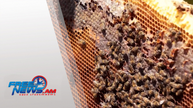 Հադրութից՝ Գրիբոյեդով, զինվորականից՝ մեղվապահ