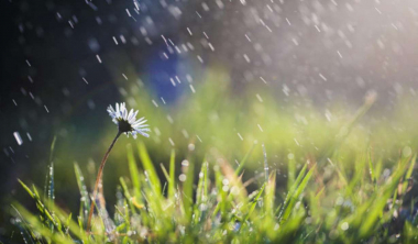 Հնարավոր է կարճատև անձրև և ամպրոպ