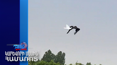 Չինաստանում թռչնի տեսքով անօդաչու թռչող սարք են մշակել