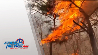 Հարավային Կորեայում անտառային հրդեհները շարունակվում են