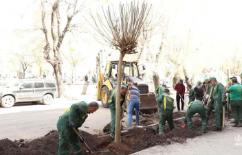 Մելիք-Ադամյան փողոցում կենսունակության ավարտին մոտ մանրատերև ծառերը փոխարինվում են հասուն կատալպաներով