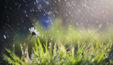 Սպասվում է կարճատև անձրև