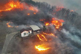 Հարավային Կորեայում անտառային հրդեհների զոհերի թիվը գերազանցել է 30-ը