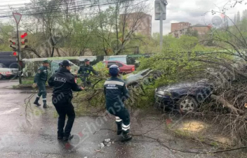 Նոր Նորքում ծառը պոկվել և ընկել է կայանված մեքենաների վրա