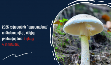 2025 թվականին արձանագրվել է սնկից թունավորման 4 դեպք՝ 4 տուժածով. Առողջապահության նախարարություն