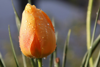 Օդի ջերմաստիճանը կնվազի 6-9, այնուհետև կբարձրանա 5-6 աստիճանով