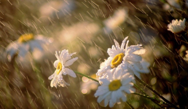 Հանրապետության առանձին շրջաններում սպասվում է կարճատև անձրև և ամպրոպ