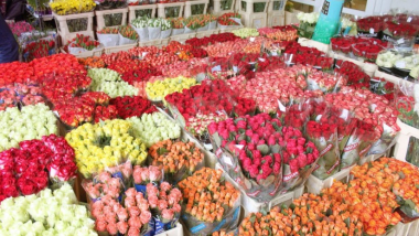 Ծաղիկ արտադրող ևս 5 ընկերության արտահանման թույլտվություն է տրվել. ՍԱՏՄ