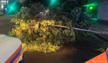 Տապալված ծառեր, վնասված տանիքների թիթեղներ, այրված էլեկտրական սյուներ․ քամու հետևանքով գրանցվել է 33 արտակարգ դեպք