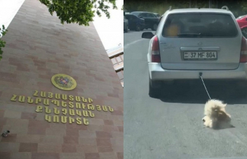 Ավարտվել է շանը մեքենային կապած վիճակում վարելու դեպքի վերաբերյալ նախաձեռնված քրեական վարույթի նախաքննությունը