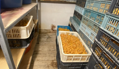 Արմավիրի մարզում չրերի արտադրամասի գործունեություն է կասեցվել