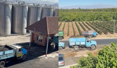 Խաղողի մթերման գործընթացն ընթանում է ամբողջ թափով․ Գևորգ Պապոյան