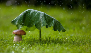 Օդի ջերմաստիճանը կնվազի 5-7 աստիճանով