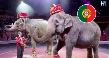 Լավ նորություններ ամբողջ աշխարհից