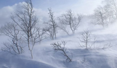 Հանրապետության առանձին շրջաններում առաջիկա օրերին սպասվում է քամու ուժգնացում