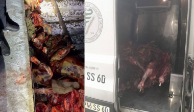 ՍԱՏՄ տեսուչների կողմից կանխվել է ձիու մսի վաճառքը