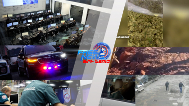 ՆԳՆ ամփոփագիր