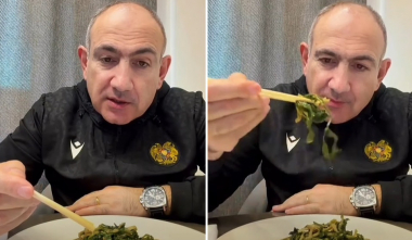 Սիբեխի սեզոնը հայտարարում եմ բացված. վարչապետը տեսանյութ է հրապարակել