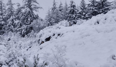 Ձյուն է սպասվում