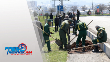 Իսակովի պողոտայում շուրջ 500 ծառ կտնկվի․ Երևանում շարունակվում են կանաչապատման աշխատանքները