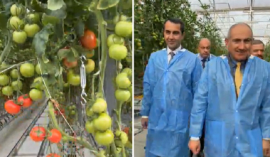 Լճաշենում Կառավարության աջակցությամբ հիմնվել է 10.7 հա մակերեսով ջերմատուն. Փաշինյան