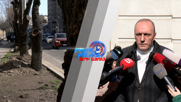 Երևանում ծերացած թեղիները փուլ առ փուլ կփոխարինվեն․ Բեգոյան