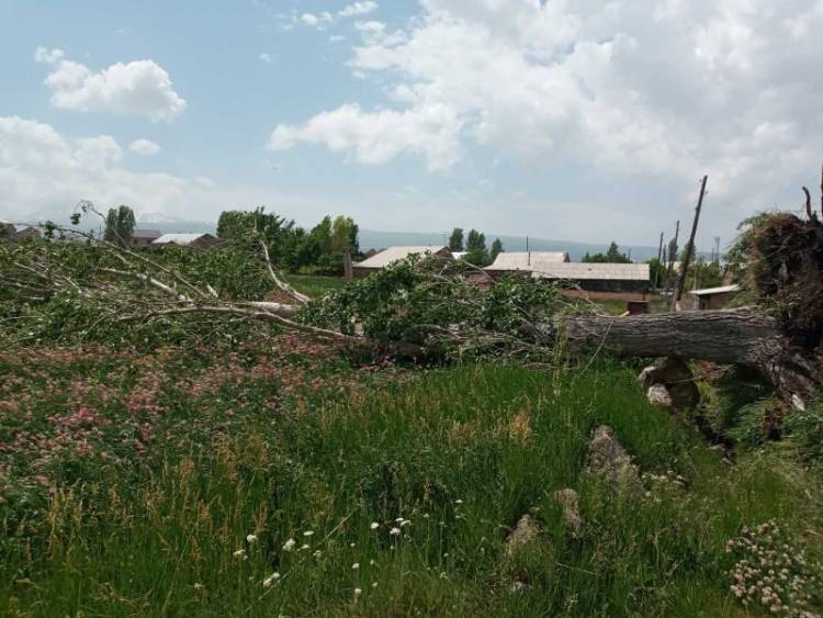 Պտտահողմը մեծ  վնասներ է հասցրել Շիրակի մարզի Գեղանիստ համայնքին. Ֆոտոշարք