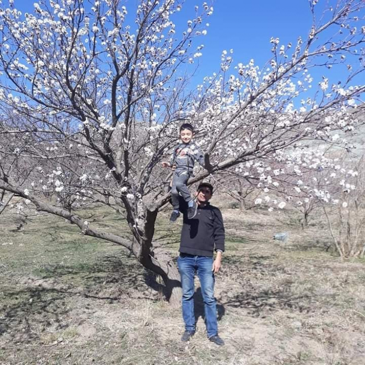 Փետրվարի կեսերին Հայաստանի Հանրապետությունում ծիրանենի է ծաղկել