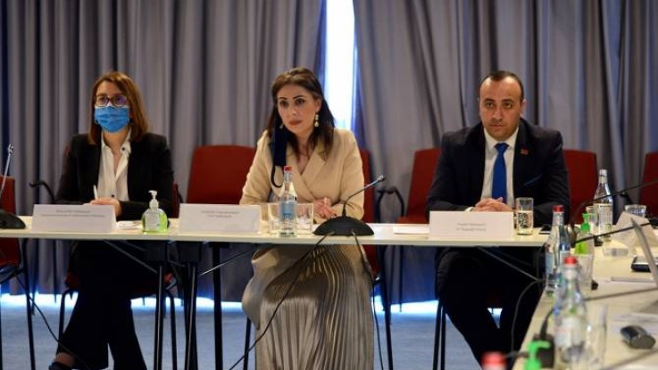 Քրիստիննե Գրիգորյանը մասնակցել է բարեվարքության ստուգման թեմայով աշխատաժողովի