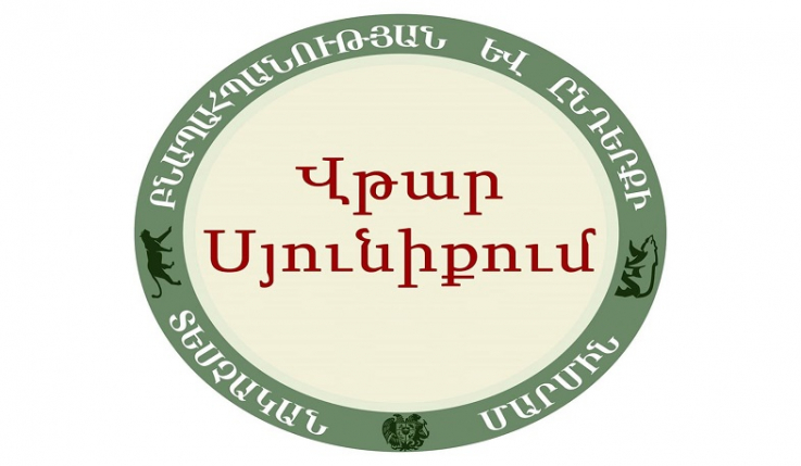 Սյունիքում տեղի է ունեցել ստորերկրյա ջրերի արտահոսքով վթար