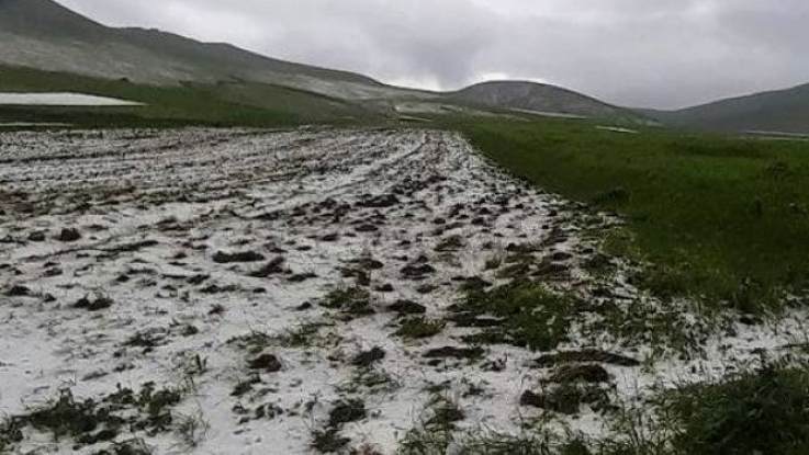 Կարկուտը վնասներ է հասցրել սահմանամերձ Վահան գյուղի տնտեսություններին