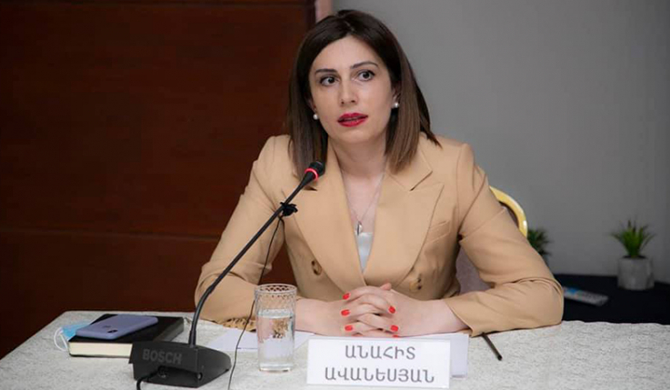 Անահիտ Ավանեսյանը բուժաշխատողների հետ քննարկել է ոլորտի առանցքային խնդիրները