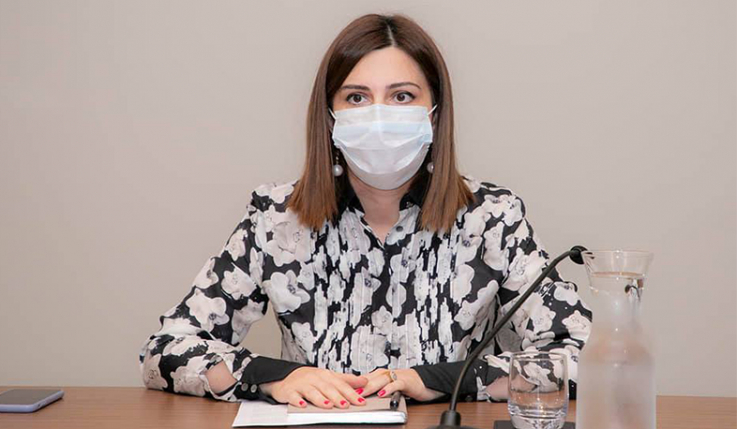 Համատեղ ուժերով գտնել լուծումներ. Անահիտ Ավանեսյանը հանդիպել է բուժհաստատությունների ղեկավարների հետ