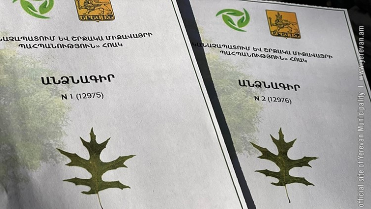 Անձնագրեր՝ Երևանի ամենատարեց ծառերին