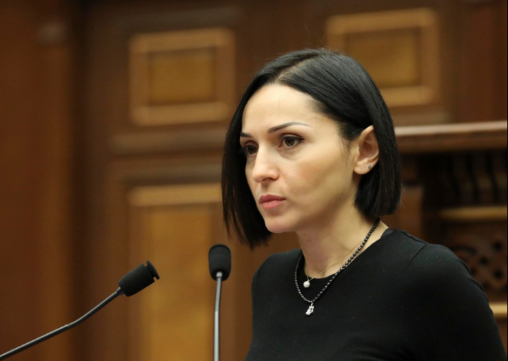 Օրենքը ուժի մեջ է մտնելու հրապարակումից վեց ամիս անց՝ սույն թվականի սեպտեմբերից․ Ծովինար Վարդանյան