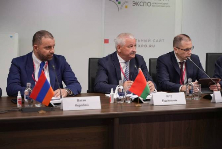 Էկոնոմիկայի նախարարը ելույթ է ունեցել ԵԱՏՄ արդյունաբերական քաղաքականության խորհրդի չորրորդ նիստում