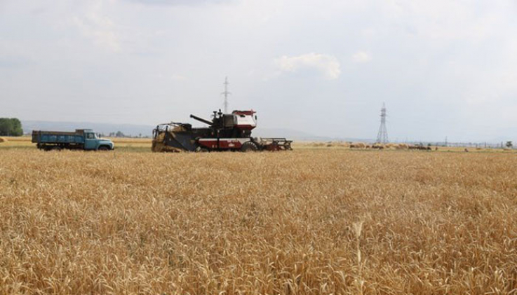 Աշոցքում առաջիկա օրերին աշնանացանի համար ավելի քան 38 մլն դրամ կբաշխվի