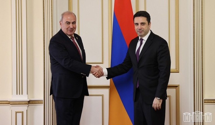 Վրաստանը դժվար է պատկերացնել առանց հայկական հարուստ մշակույթի. Գիորգի Շարվաշիձեն՝ ՀՀ ԱԺ նախագահին