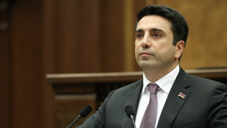 Ալեն Սիմոնյանը դատապարտել է Անի Գևորգյանի նկատմամբ կիրառված բռնությունը
