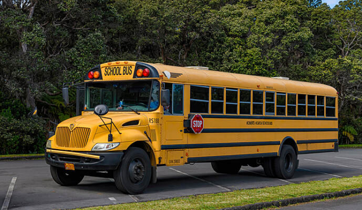 ԱՄՆ-ում դպրոցականներ տեղափոխող ավտոբուս է շրջվել