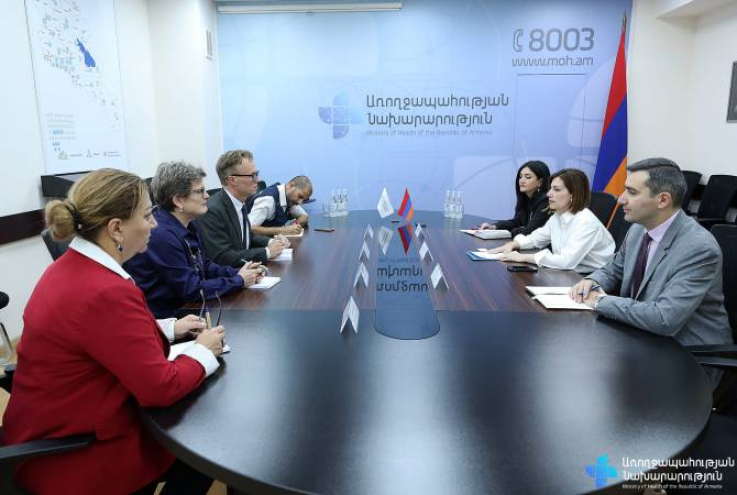 Անահիտ Ավանեսյանն ԱՀԿ ներկայացուցչին տեղեկացրել է ադրբեջանական ագրեսիայի հետևանքով ստեղծված իրավիճակի մասին