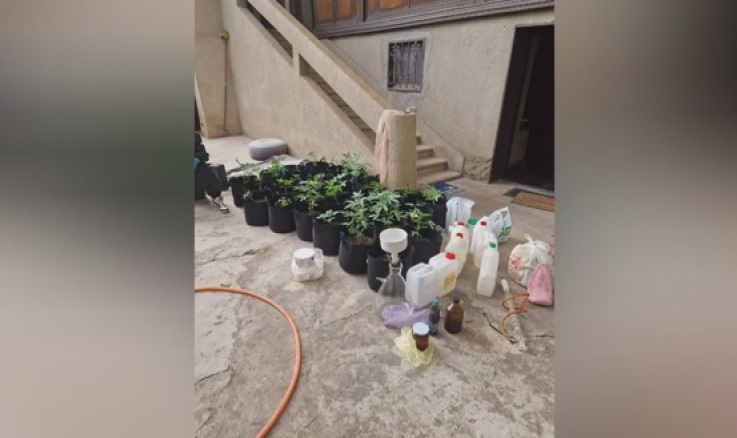 Բացահայտվել է թմրամիջոցների արտադրման և աճեցման լաբորատորիա. (տեսանյութ)
