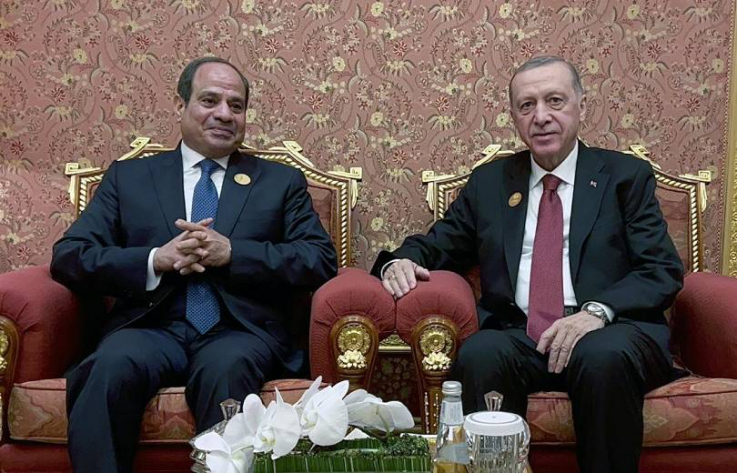 Էրդողանը Եգիպտոսի վերընտրված նախագահի հետ թուրք-եգիպտական հարաբերություններին առնչվող հարցեր է քննարկել