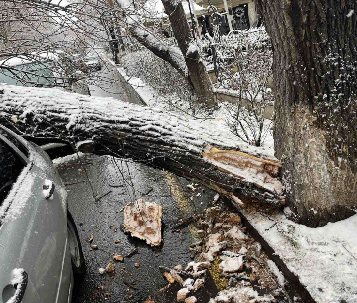 Երևանի Աբովյան փողոցի և Սայաթ-Նովայի պողոտայի խաչմերուկի մոտակայքում ծառը կոտրվել և ընկել է ավտոմեքենայի վրա