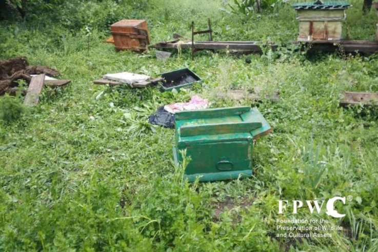Կլիմայի փոփոխության հետևանքով հաճախակիացել է արջերի հայտնվելը Վայոց ձորի բնակավայրերում
