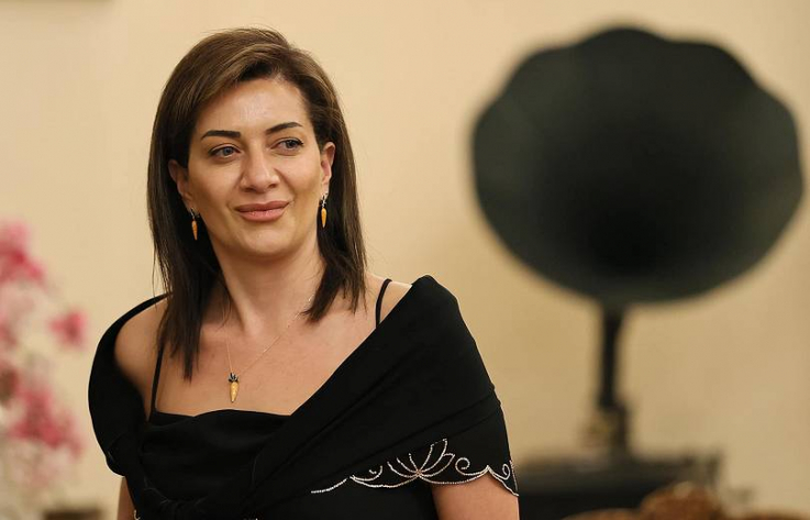 Ծիծաղելի են այն լուրերը, թե իբր Աննա Հակոբյանը կապ ունի 88 սուպերմարկետների ցանցի հետ, նրան երբևէ մոտիկից չեմ տեսել. Նարեկ Նալբանդյան